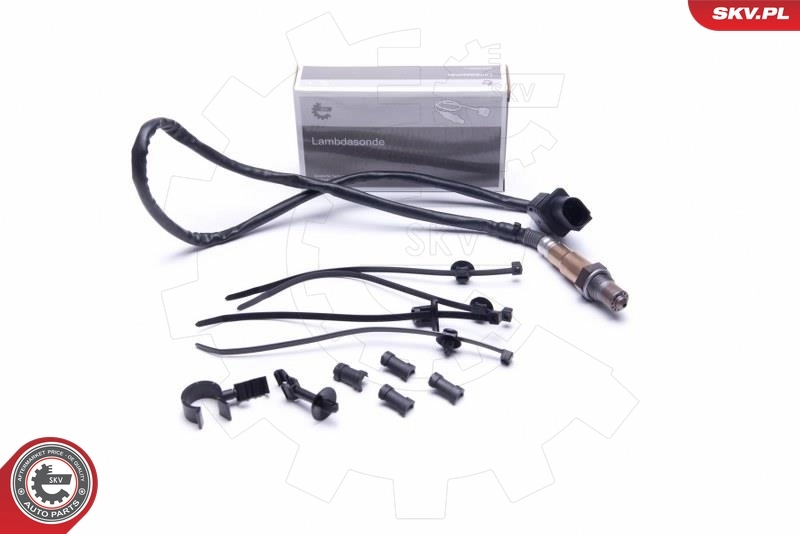 Oxygen Sensor